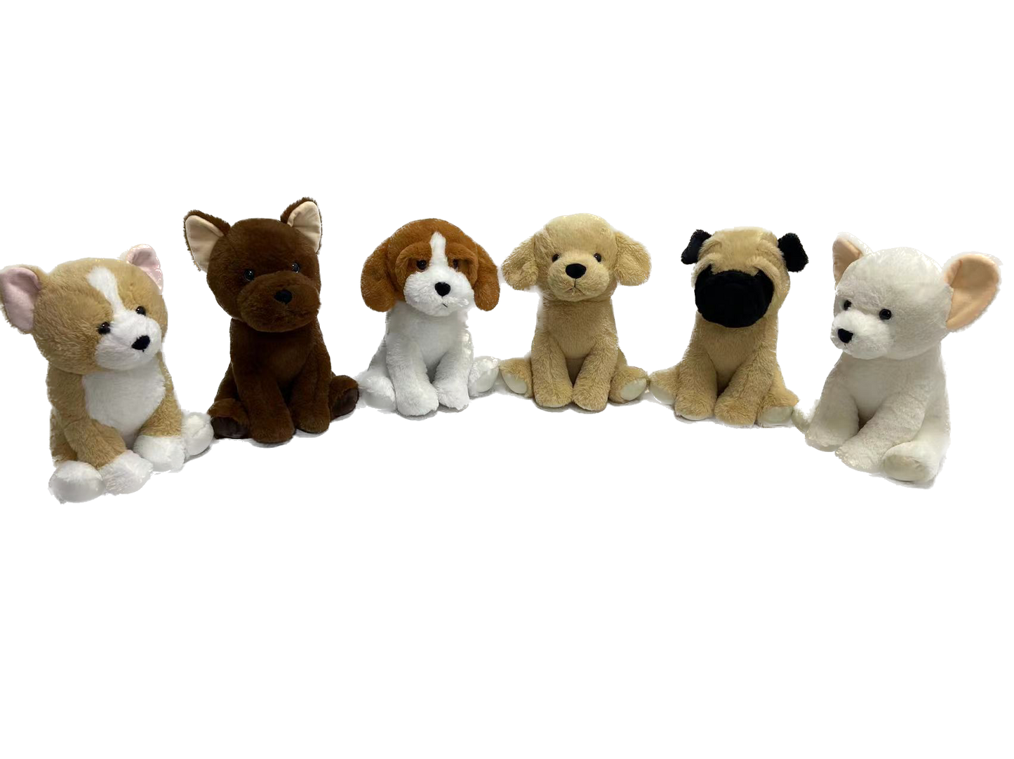 Assorted Puppy Sitting in 30cm